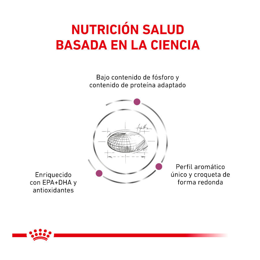 Royal Canin Veterinary Renal pienso para gatos thumbnail