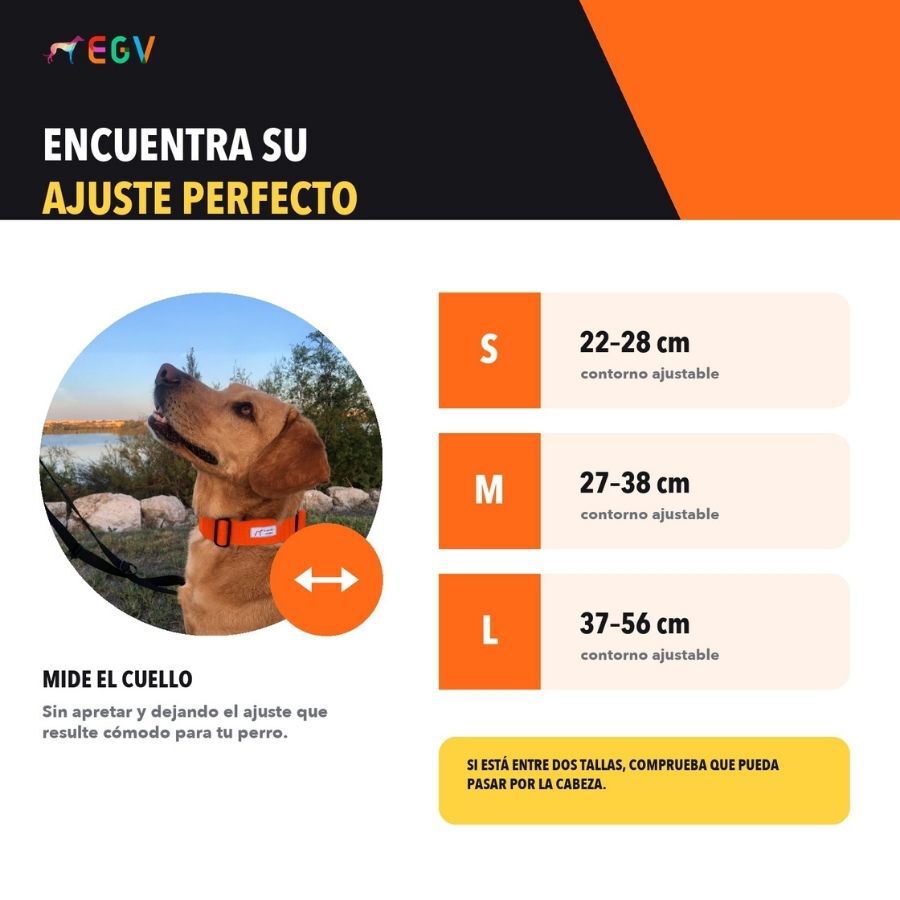EGV - Collar Martingale. Collar galgo hecho a mano en Espa&ntilde;a (Naranja), , large Imagen numero 5