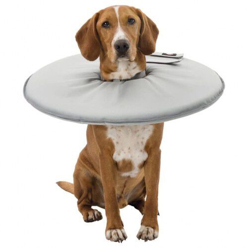 Collar protector para mascotas color Gris, , large Imagen numero 1