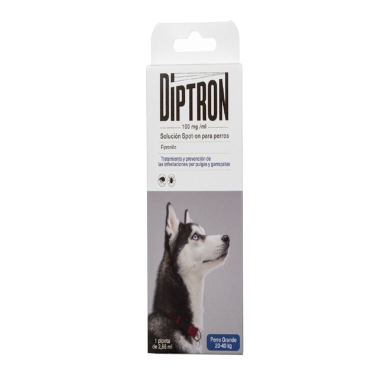Diptron Spot On Grande Pipeta Antiparasitaria para perros, , large image number null