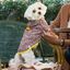 Jersey Chispa Pompón para perros color Burdeos, , large indicador imagen numero 2