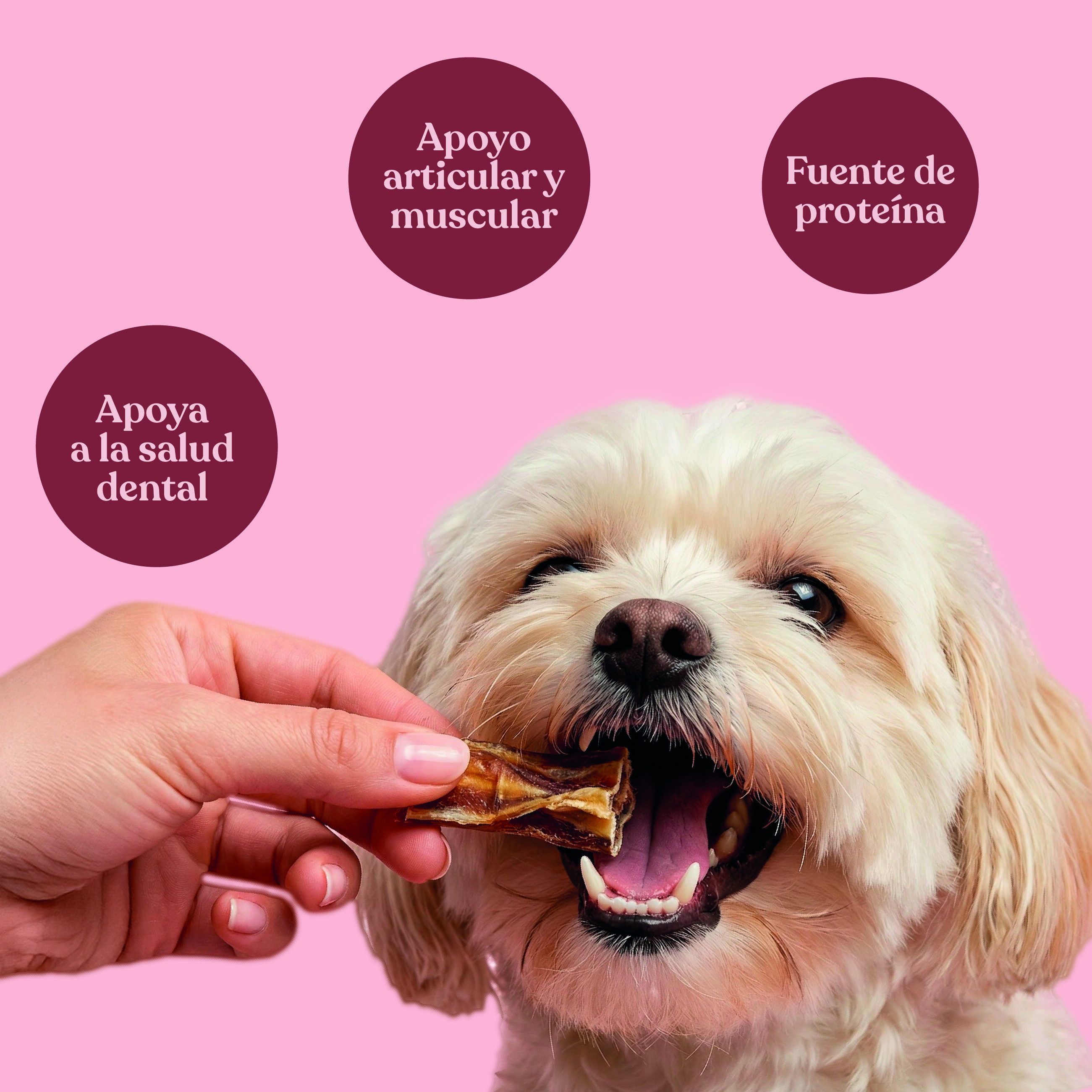 dr.bimix Chips de Nervio de Toro para Perros | Masticaci&oacute;n Natural y Entretenimiento, , large Imagen numero 3