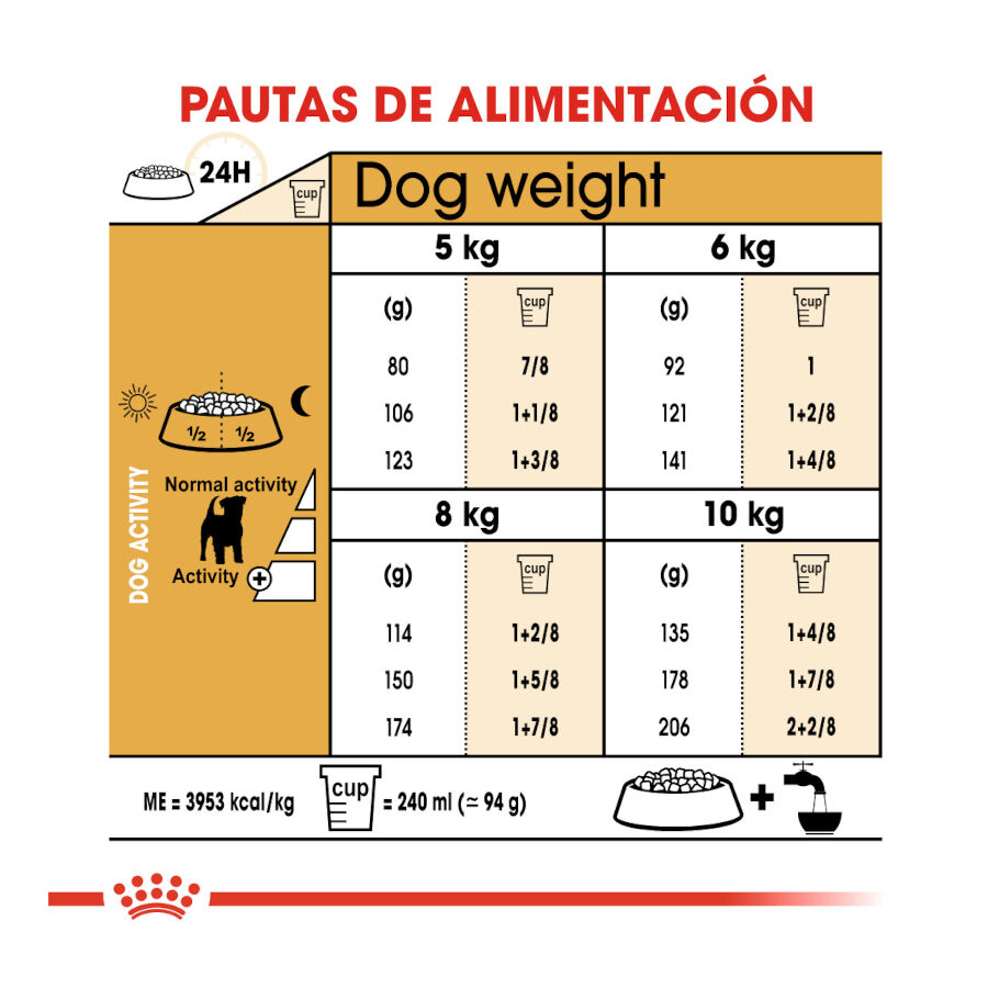 7.5 kg Royal Canin Adult Jack Russell Terrier pienso para perros, , large Imagen numero 8