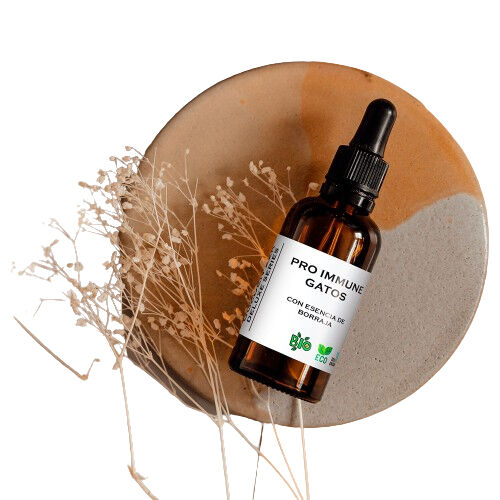 PRO IMMUNE GATOS CON ESENCIA DE BORRAJA, , large Imagen numero 1
