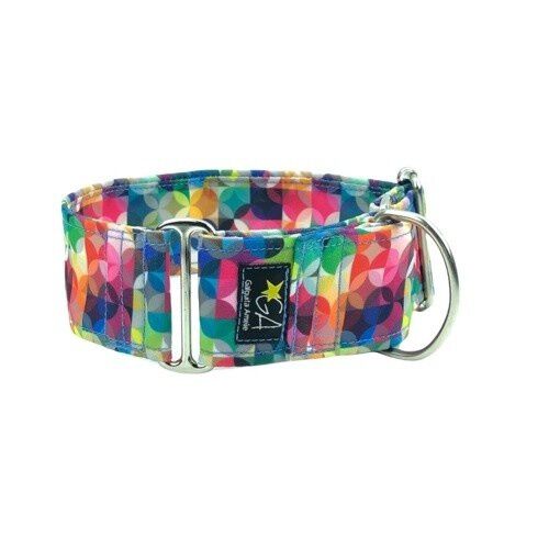 Galguita amelie martingale nickcolors collar multicolor para perros, , large Imagen numero 1
