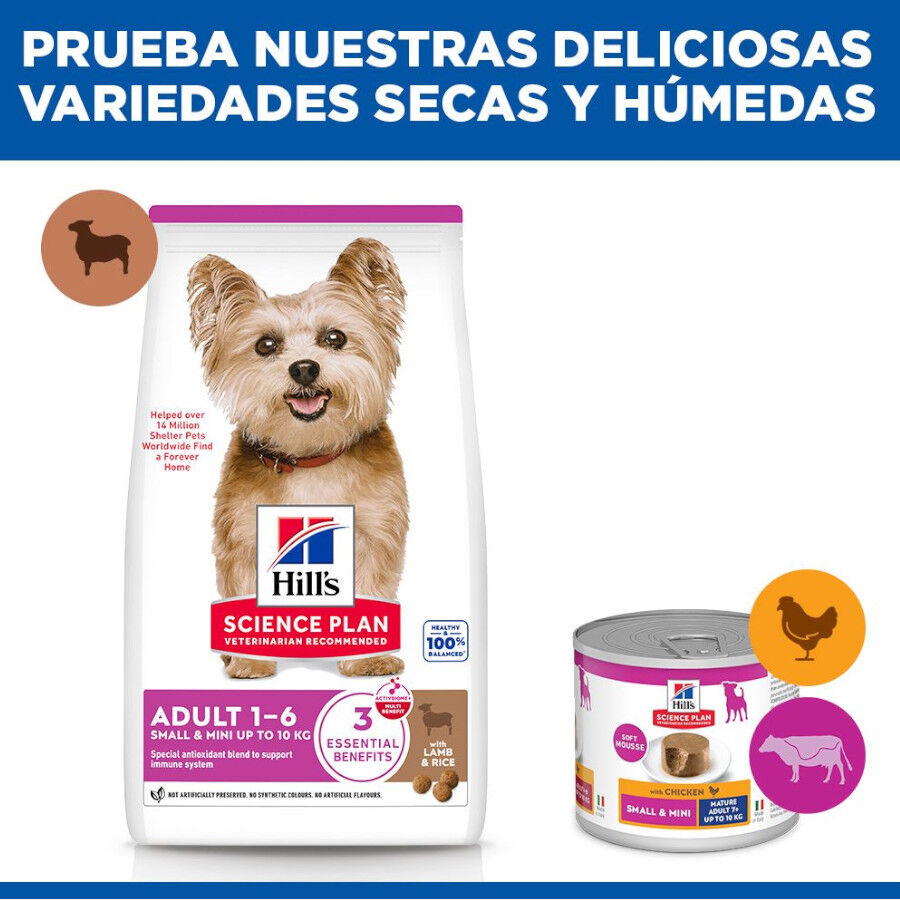 1.5 kg Hill's Science Plan Adult Small y Mini Cordero pienso para perros, , large Imagen numero 8