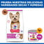 1.5 kg Hill's Science Plan Adult Small y Mini Cordero pienso para perros, , large indicador imagen numero 8