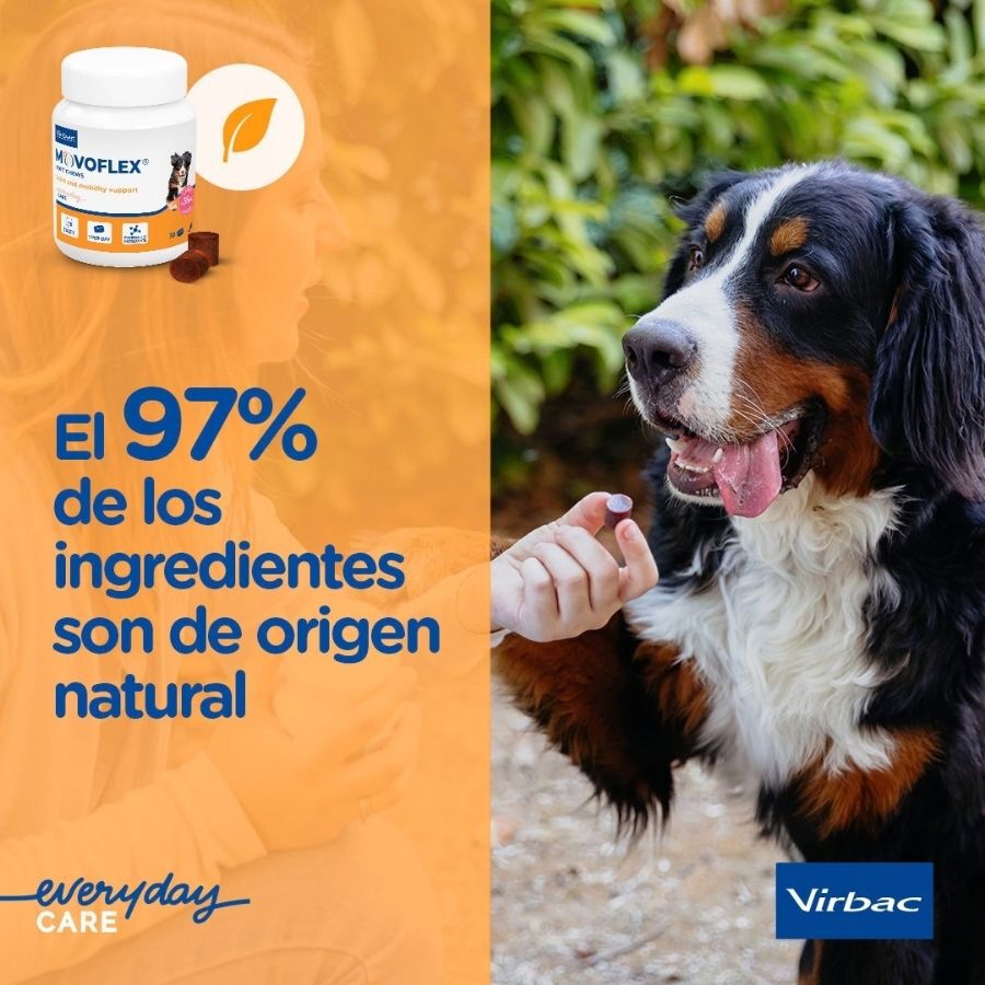 Virbac Movoflex Condroprotector para perros, , large Imagen numero 9
