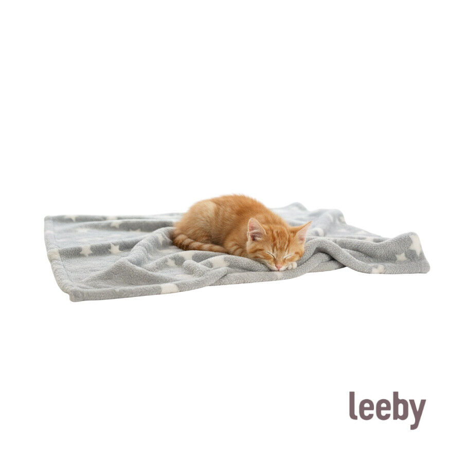 Leeby Manta Estrella Gris para gatos, , large Imagen numero 1