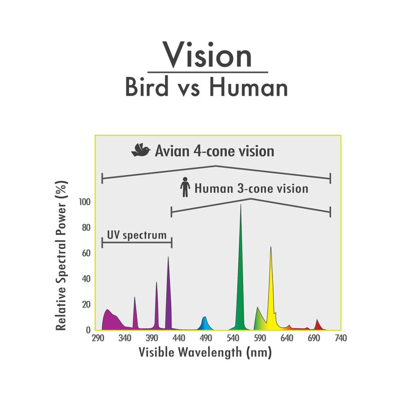 Hari Vision Lámparas compactas fluorescente UVA/UVB Mini para pájaros thumbnail