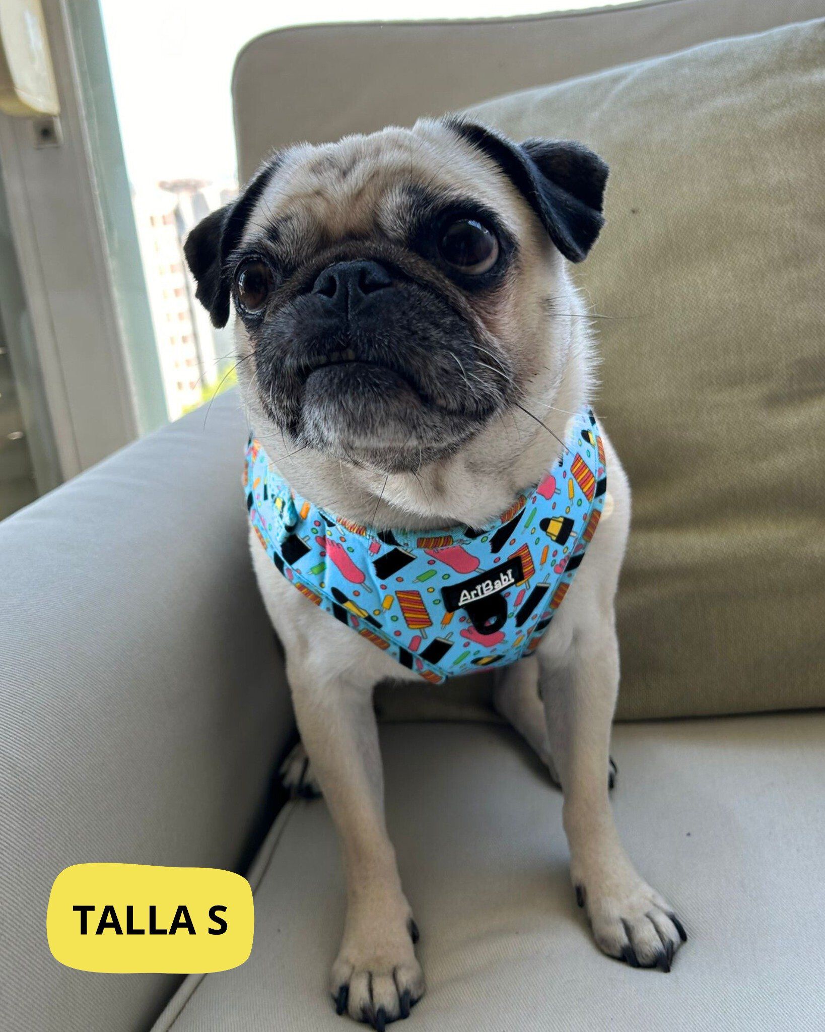 Portabolsas para Perro + Regalo de un Rollo de Bolsas - Colecci&oacute;n FrigoPata, , large Imagen numero 4