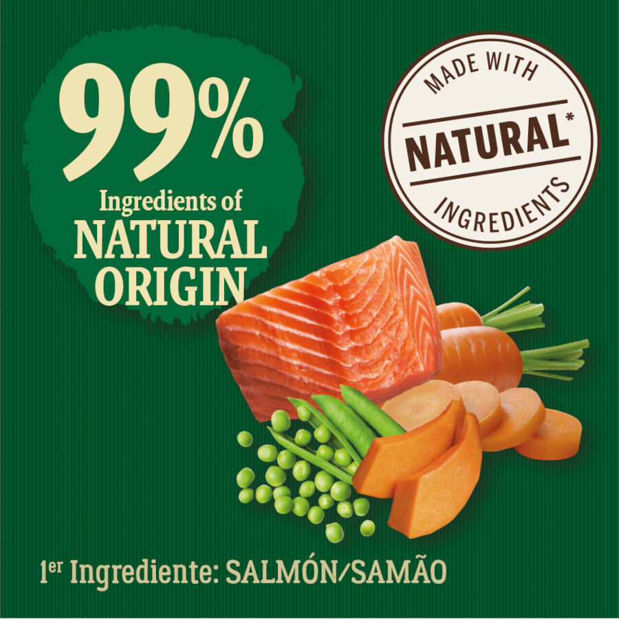 True Origins Wild Adult Pacific Salmón pienso para perros thumbnail