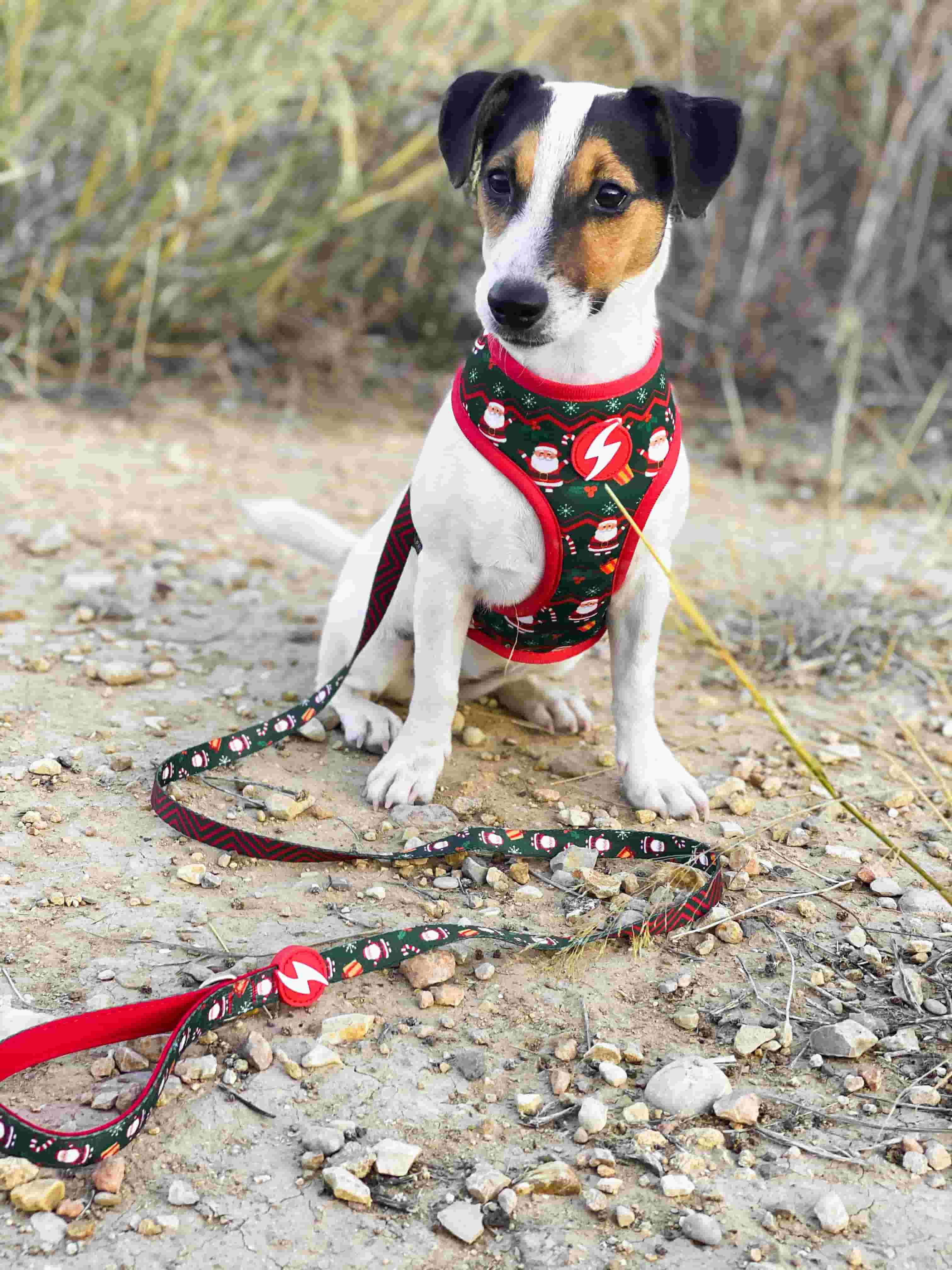 Arn&eacute;s reversible Neo Mesh Noel para perros color Varios, , large Imagen numero 3