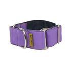 Collar Martingale para perros color Lila, , large image number null