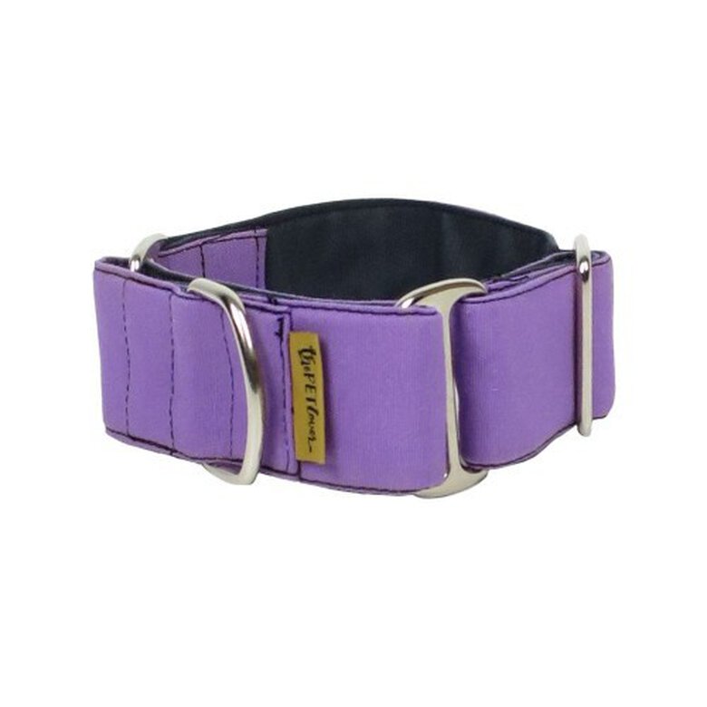 Collar Martingale para perros color Lila, , large image number null