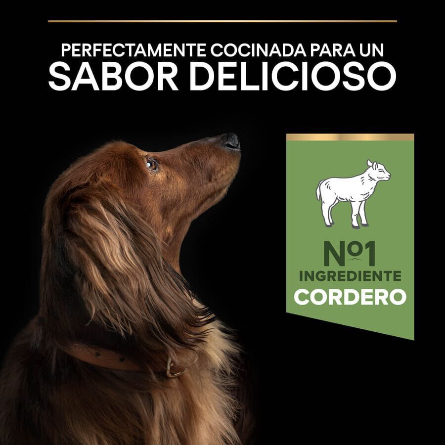 Pro Plan Adult Small y Mini Digestión Cordero pienso para perros thumbnail