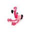 All For Paws Ultrasonic Juguete DJ Flamingo para perros, , large indicador imagen numero 2