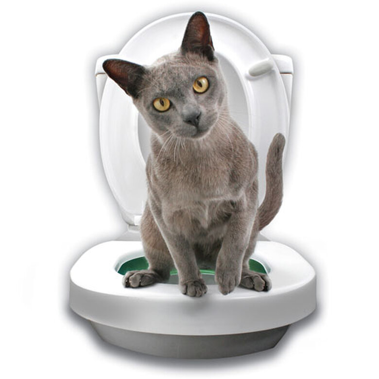 Kit de aprendizaje WC para gatos Litter Kwitter1