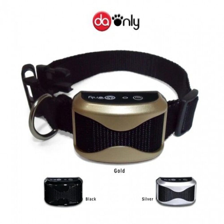 adiestramiento automático Daonly para perros color Oro