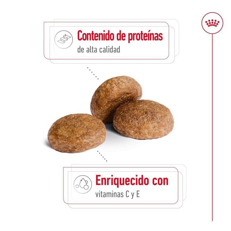 Royal Canin Medium 7+ Adult pienso para perros senior thumbnail