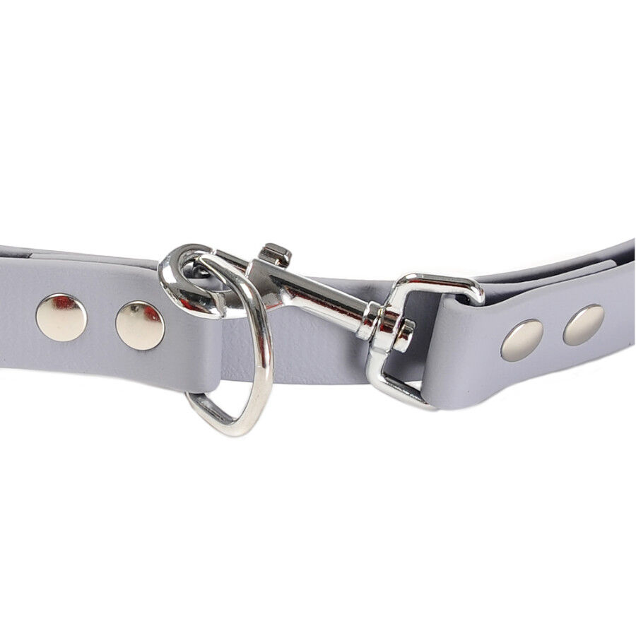Gotoo Correa Biothane gris para perros, , large Imagen numero 7