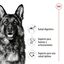 15 kg Royal Canin Maxi Adult pienso para perros, , large indicador imagen numero 5