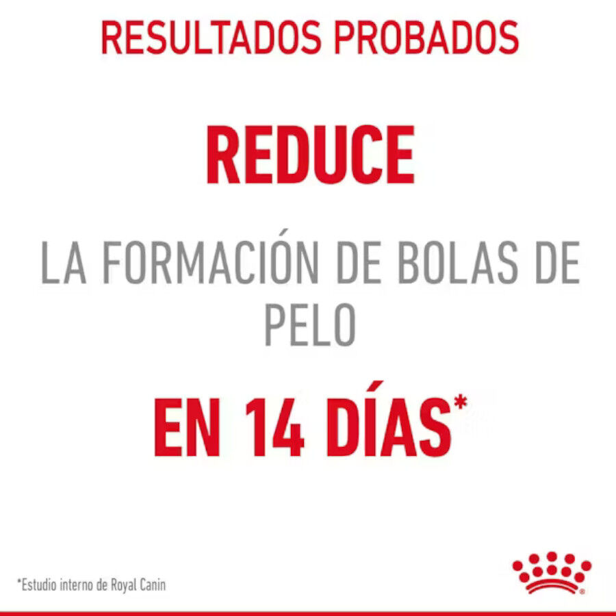 Royal Canin Intense Hairball pienso para gatos thumbnail