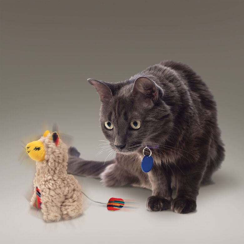 Kong Softies Buzzy Llama de peluche para gatos thumbnail