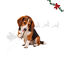 4 uds. Wonder Christmas Palitos con Pescado Snacks para perros, , large indicador imagen numero 1