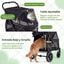 COSTWAY Carrito para Perros Plegable Grande, Cochecito para Mascotas con Ruedas, Toldo Ajustable de Malla, Bolsillos de Almacenamiento y Cintur&oacute;n de Seguridad, Carga 40 kg, 96 x 71 x 102,5 cm, Negro, , large indicador imagen numero 4