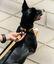 CAFIDE Collar PET Reciclado Juno, , large indicador imagen numero 3