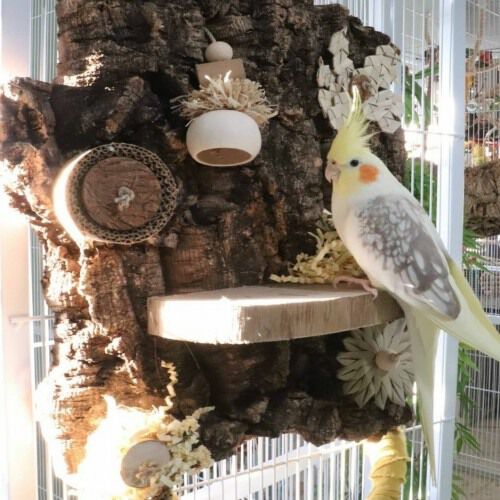 Muro Natural Shredding Giant Wall color Madera thumbnail