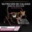 10 sobres x 85 g Pro Plan Adult Delicate Digestion Pavo y Pescado del Océano en Salsa sobre para gatos - Multipack, , large indicador imagen numero 2