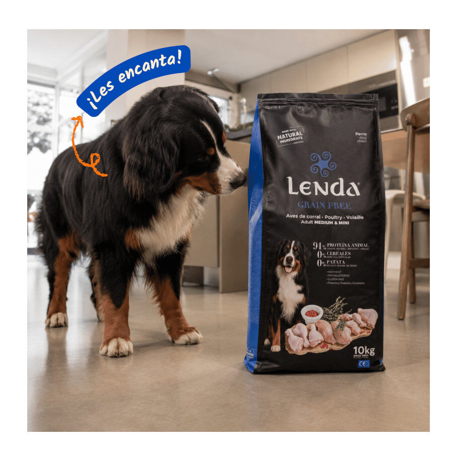 2 Kg Lenda Grain Free Pavo y Pato pienso para perros, , large Imagen numero 6