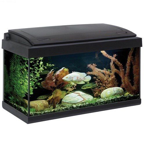 Acuario Akkua Led Pro 60, , large Imagen numero 1