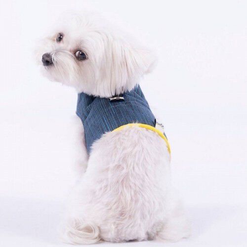Arn&eacute;s para perros Groc Groc Yuki color azul, , large Imagen numero 2