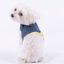 Arnés para perros Groc Groc Yuki color azul, , large indicador imagen numero 2
