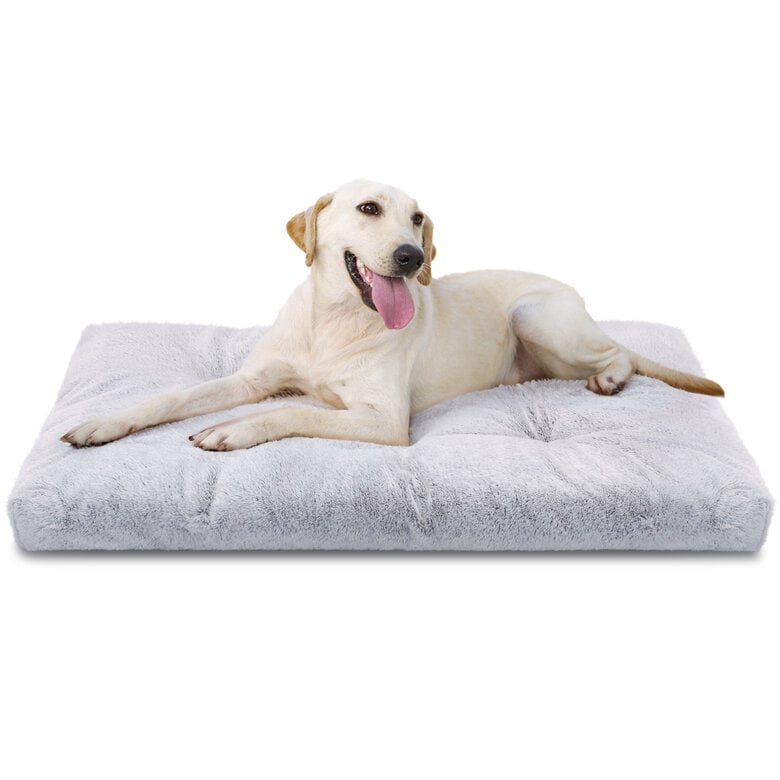 Cama Perro Verano Nobleza Cama Lavable Para Perro Mediano, Super