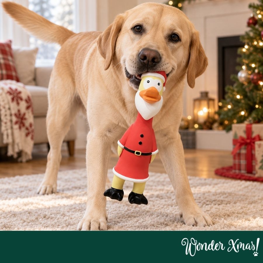 Wonder Christmas Pollo L&aacute;tex Juguete para perros, , large Imagen numero 2