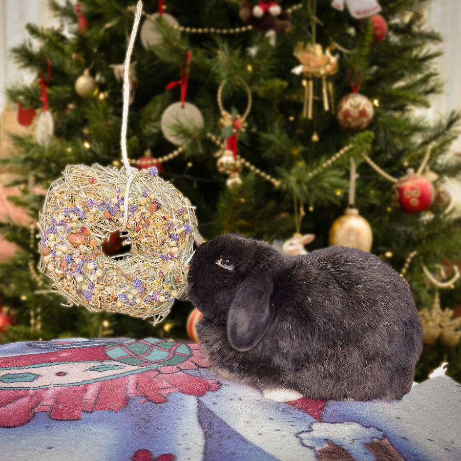 Rosewood Snack Corona Navideña para Roedores thumbnail