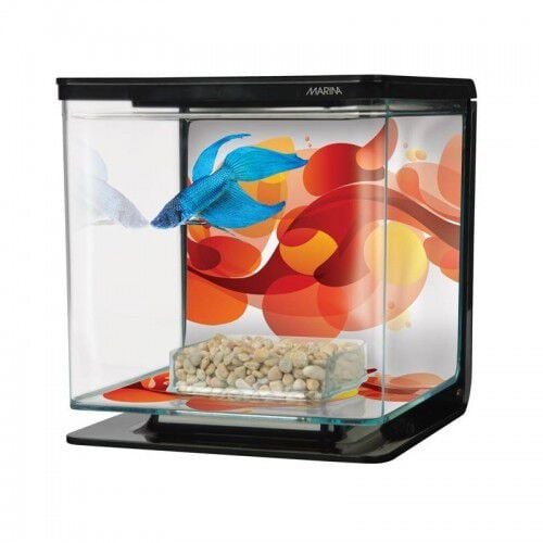 Kit de betera Marina Betta para peces, colores Varios thumbnail