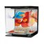 Kit de betera Marina Betta para peces, colores Varios, , large indicador imagen numero 2