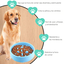 EL ÁTICO PETS Comedero Perro Antivoracidad. Comedero Antiansiedad y Antiestres para Perros Ansiosos. Controla la Velocidad de Alimentación. Reduce el Éstrés y Disfruta de una Digestión Saludable, , large indicador imagen numero 2