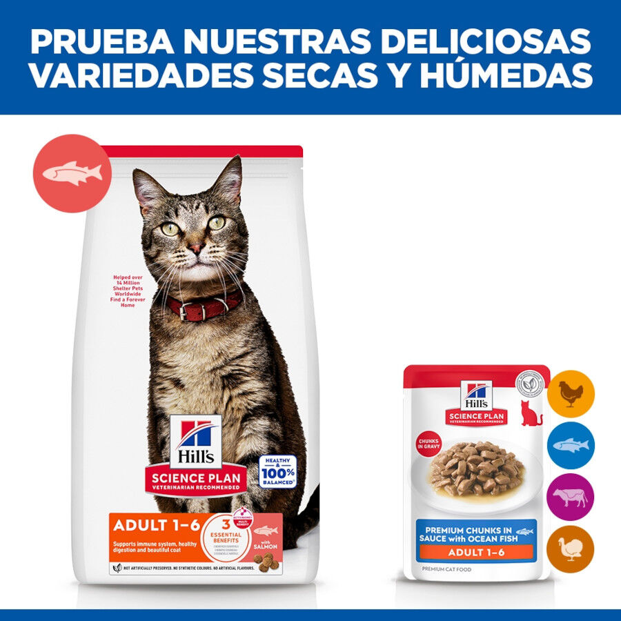 85 g Hill's Science Plan Adult Pescado sobre para gatos, , large Imagen numero 6