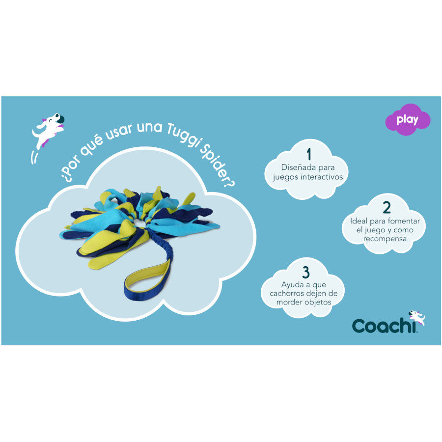 Coachi Tuggi Spider juguete con flecos para perros thumbnail