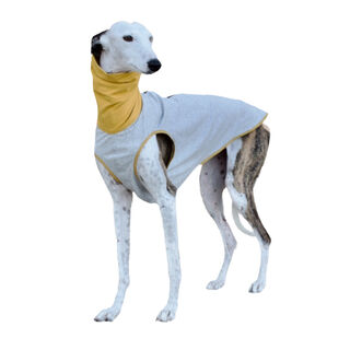 Galguita Amelie Jersey de Algodón Gris-Amarillo para perros