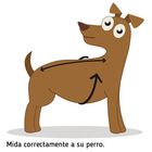 Ibañez Trendy Breathe Comfort Capa Cereza para perros, , large image number null
