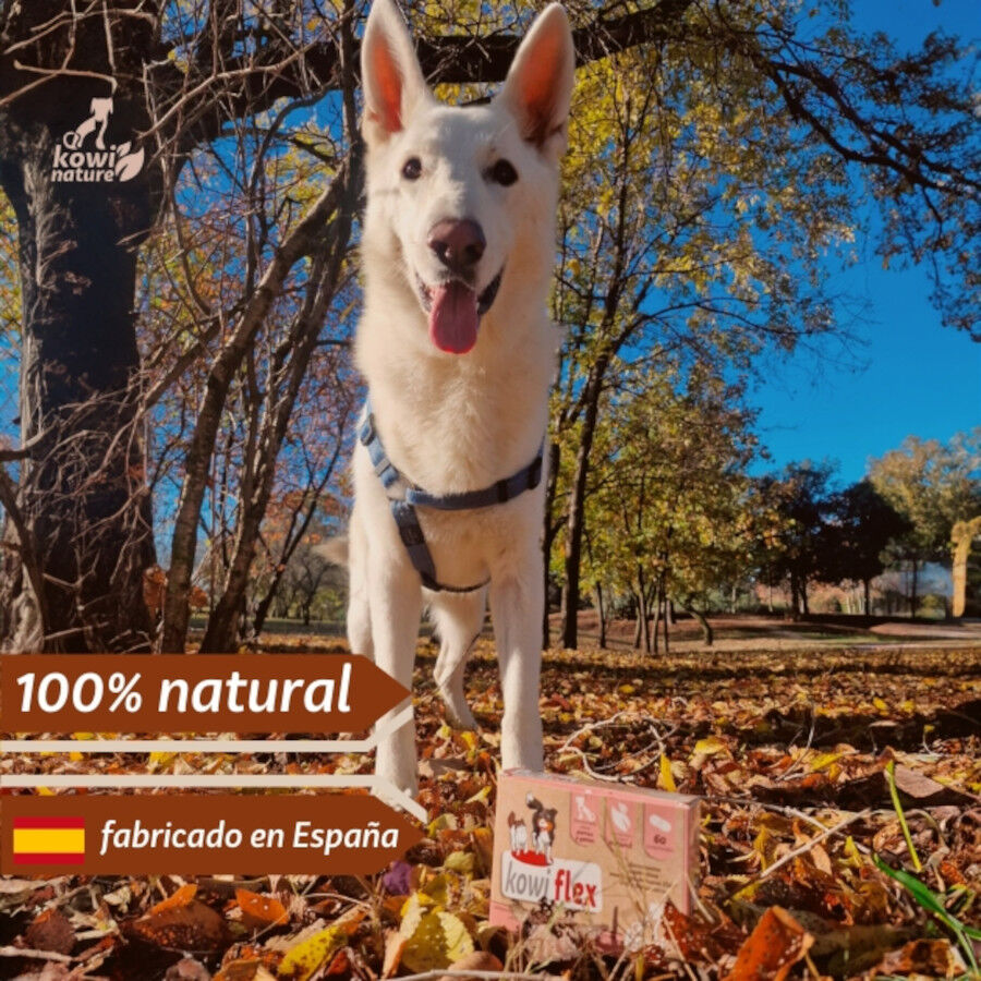 Kowi Nature Condroprotector natural KOWI FLEX para perros y gatos, , large Imagen numero 5