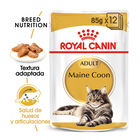 Royal Canin Maine Coon comida húmeda para gatos, , large image number null