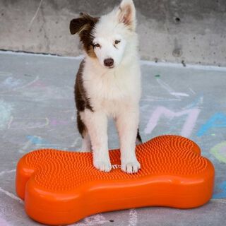 Plataforma de equilibrio para mascotas color Naranja